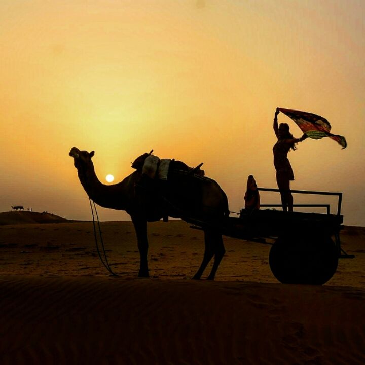 An 800 km Roadtrip from Delhi to Jaisalmer: Our Amazing Journey Through Rajasthan's Desert Beauty