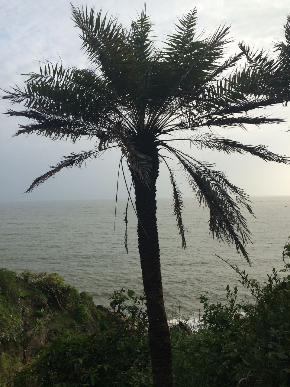 Photo of Gokarna Diaries 4/14 by Geetika Bansal