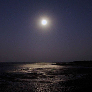 Photo of Dhordo, Gujarat, India by Nandan Dongre