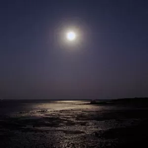 Photo of Dhordo, Gujarat, India by Nandan Dongre