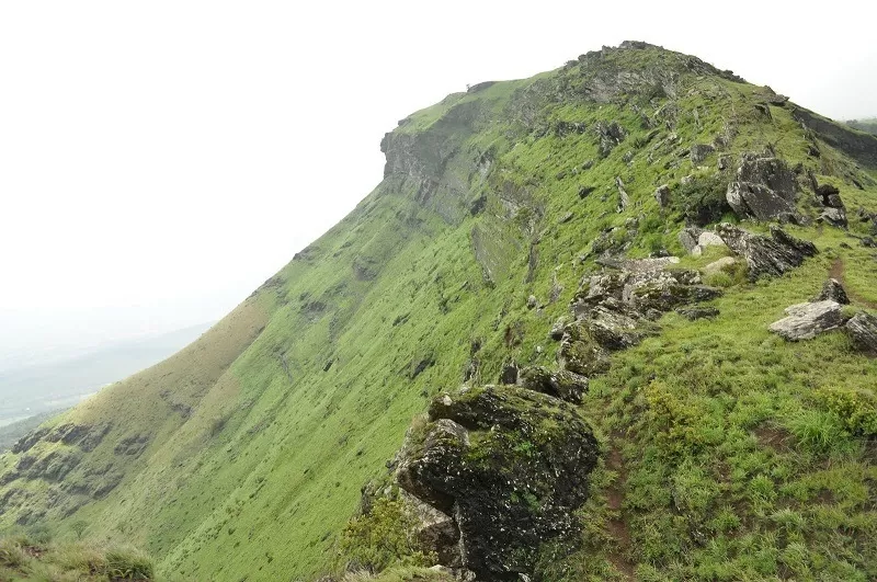 Photo of How a Gorgeous Trek Turned Into a Nightmare in Chikmagalur! by Supriya Sahu