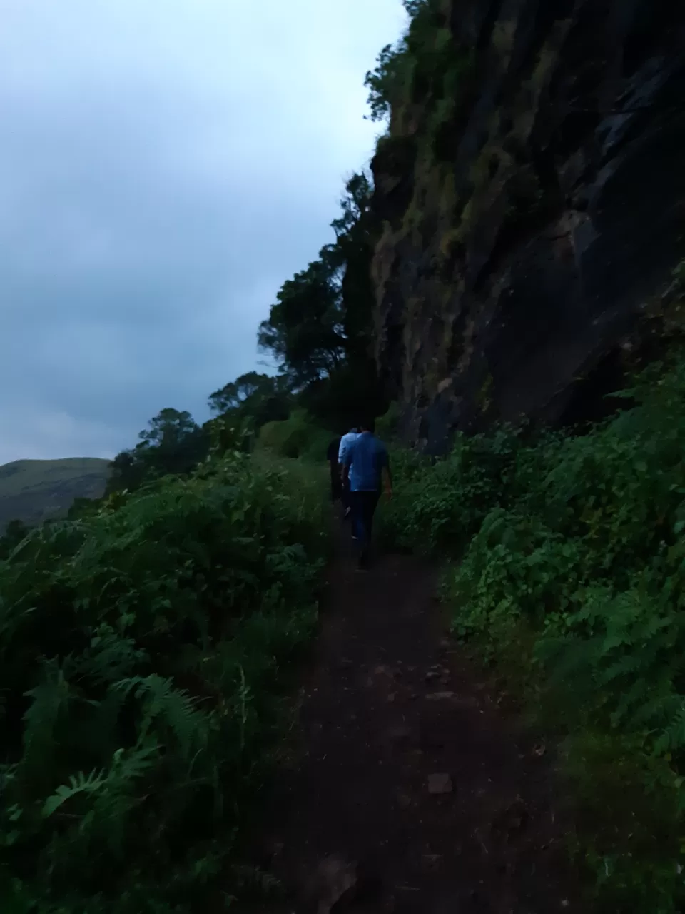 Photo of Z Point Trekking Peak, Chikmagalur, Karnataka, India by Supriya Sahu