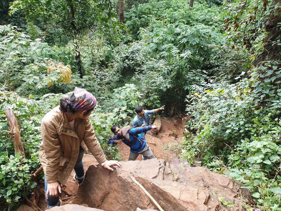 Photo of How a Gorgeous Trek Turned Into a Nightmare in Chikmagalur! by Supriya Sahu