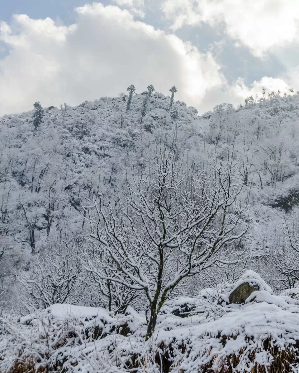 Photo of Bathad, Himachal Pradesh, India by Supriya Sahu