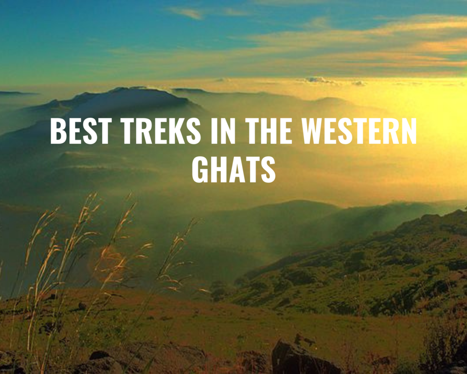 Photo of 8 Breathtaking DIY Treks in Western Ghats That You Must Take To Add a Sprinkle of Adventure to 2022 by Supriya Sahu