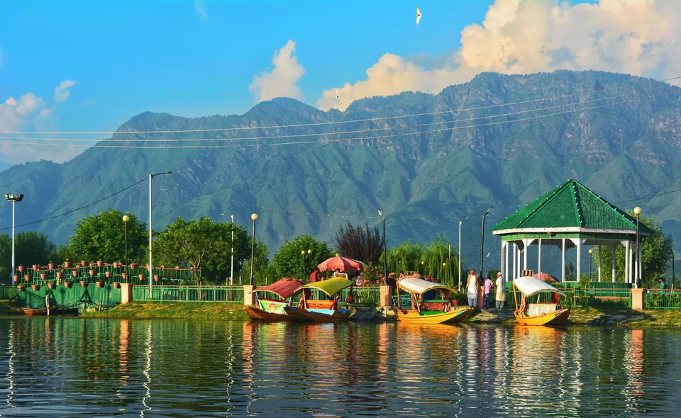 Photo of 48 Hour Guide to Srinagar That Will Give You the Taste of Kashmir, Just the Way You Want! by Supriya Sahu
