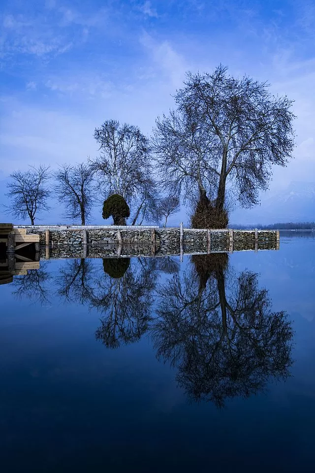 Photo of 48 Hour Guide to Srinagar That Will Give You the Taste of Kashmir, Just the Way You Want! by Supriya Sahu