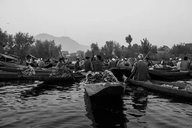 Photo of 48 Hour Guide to Srinagar That Will Give You the Taste of Kashmir, Just the Way You Want! by Supriya Sahu