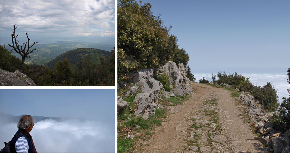 Photo of In The Steps of Pilgrims: Sellaro Mountain,Calabri 3/6 by Anna