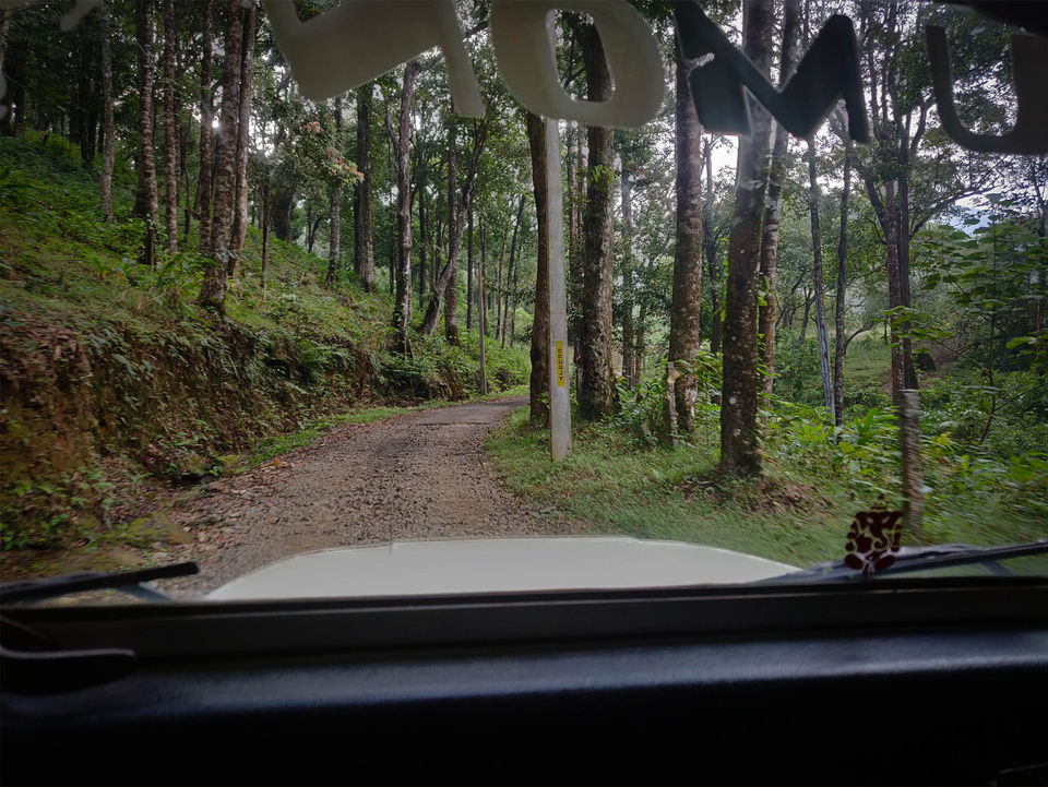 Photo of Kallar, Kerala, India by Cherian Varghese