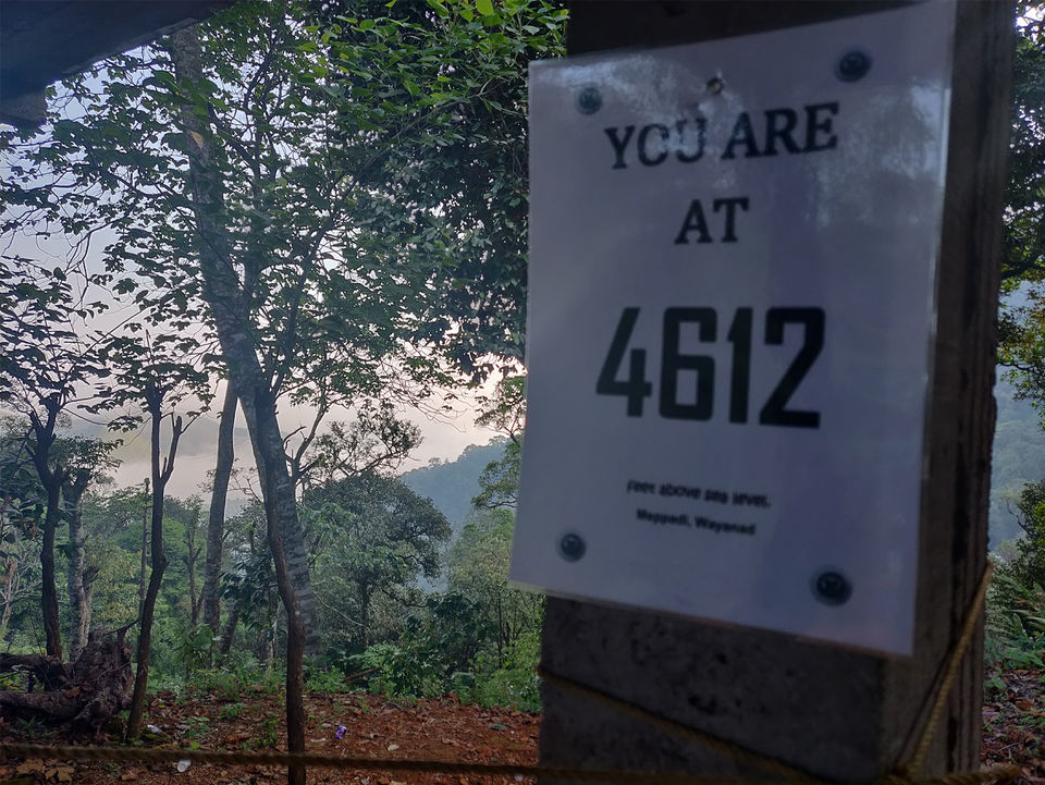 Photo of Into The Unbroken 900 Kandi. Camping Near Bangalore by Cherian Varghese