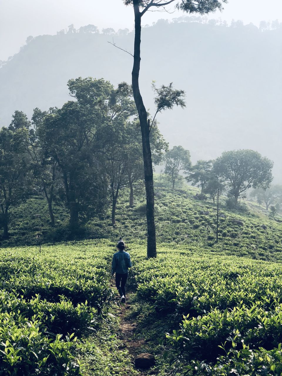Photo of 'Her First Camping Experience' : Solo Girl Camping at Ooty 1/1 by Cherian Varghese