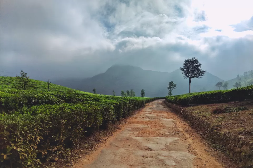 Photo of Vagamon, Kerala, India by Cherian Varghese
