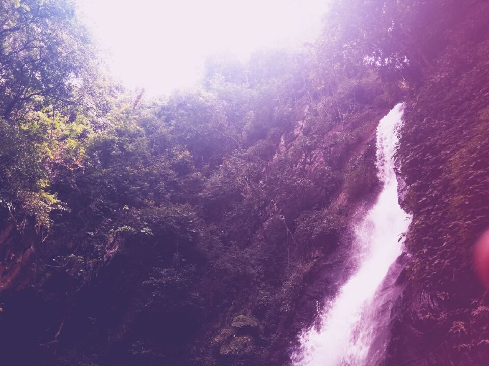 Photo of Chasing ChikkaMagaluru by DharShan