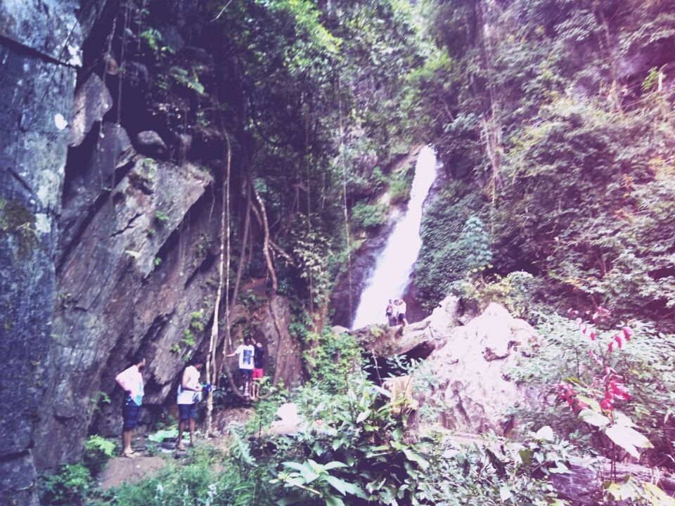 Photo of Chasing ChikkaMagaluru by DharShan