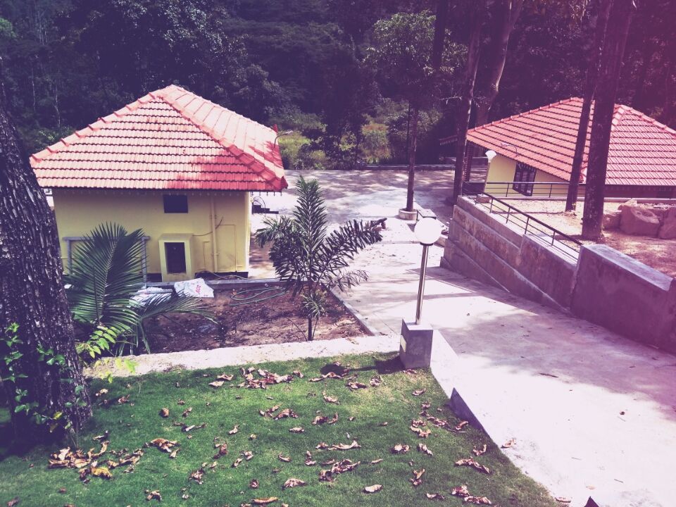 Photo of Chasing ChikkaMagaluru by DharShan