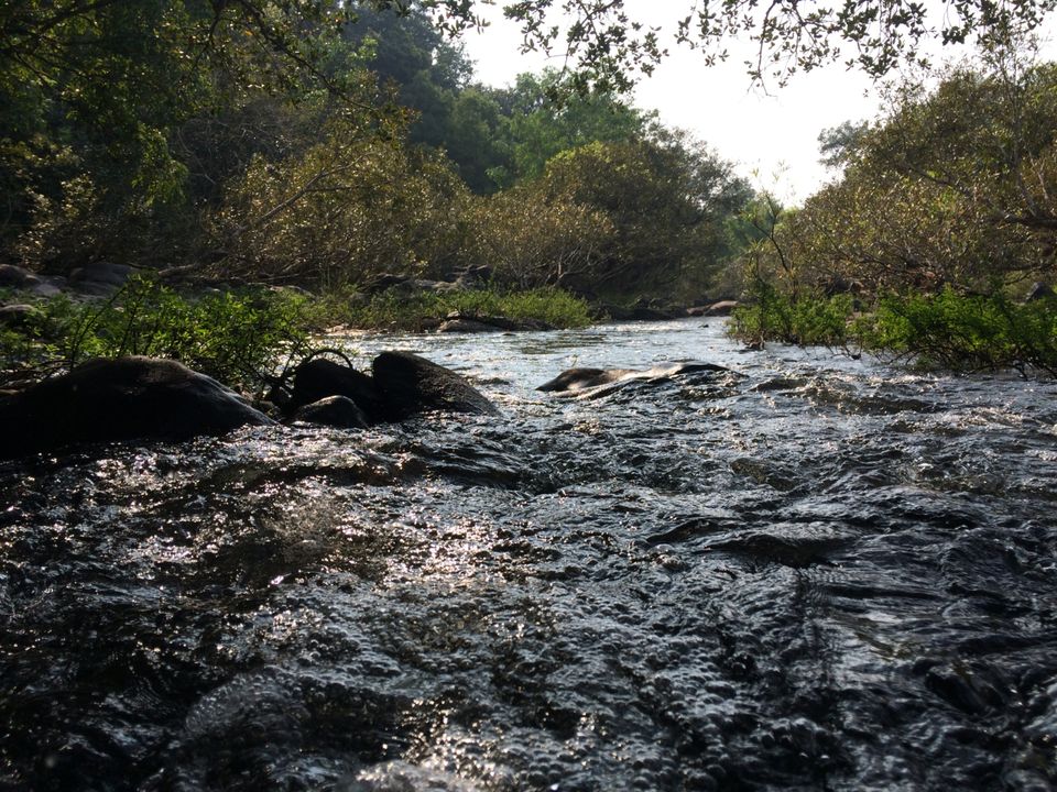 Photo of Goa, India by @nemophilist