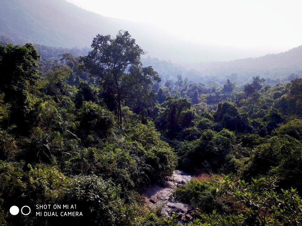 Photo of Bardez, Goa, India by @nemophilist