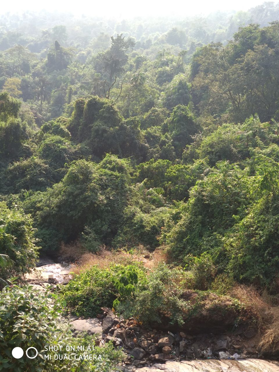 Photo of Bardez, Goa, India by @nemophilist