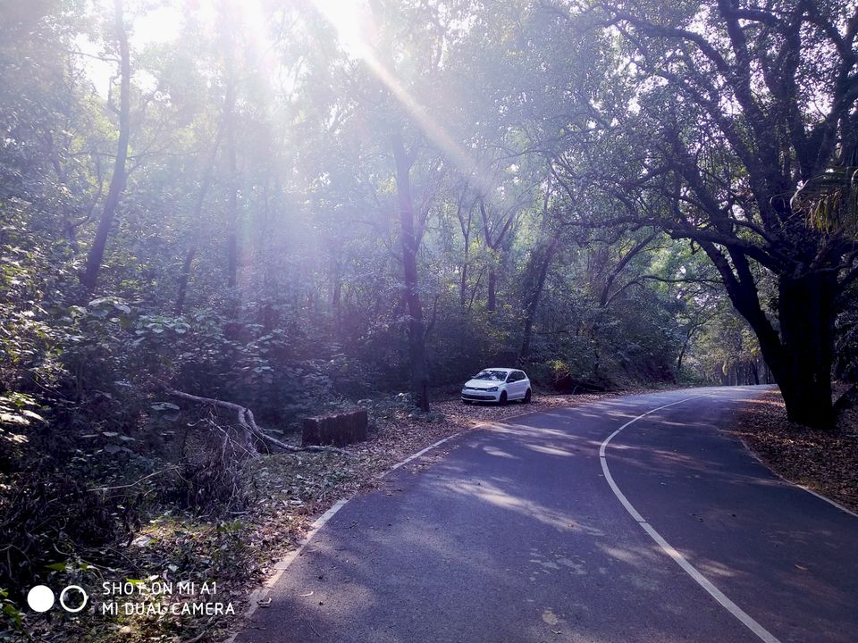 Photo of Goa, India by @nemophilist