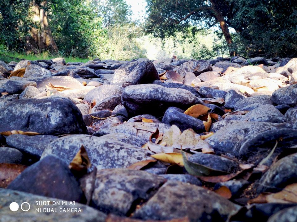 Photo of Goa, India by @nemophilist