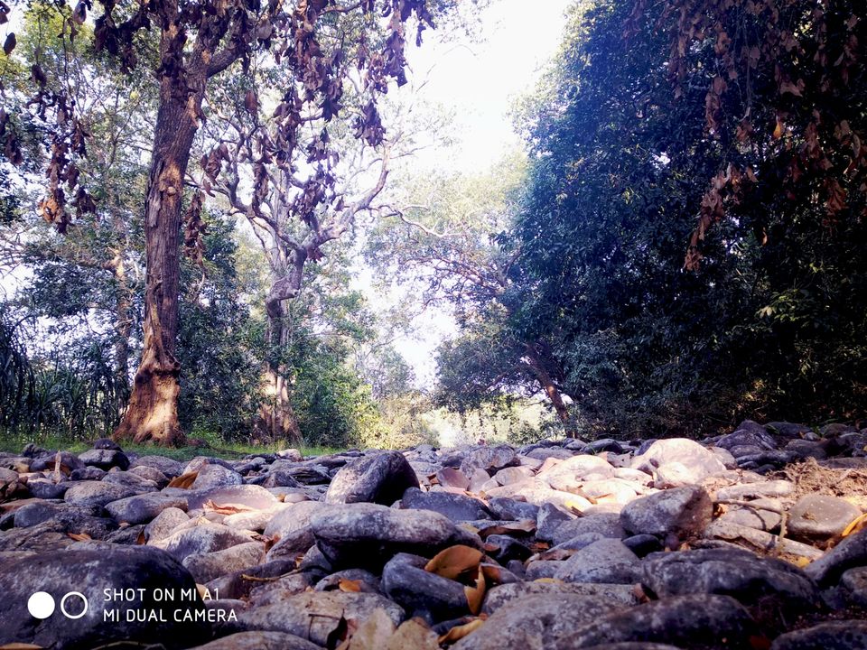 Photo of Goa, India by @nemophilist