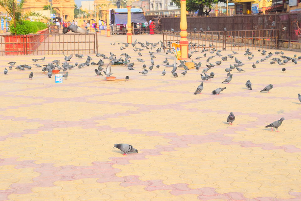Photo of Somnath, Gujarat, India by Bhartendu Sharma