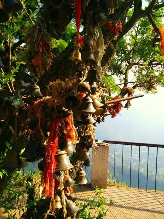 Photo of Nainital, Uttarakhand, India by Kapil Nathan