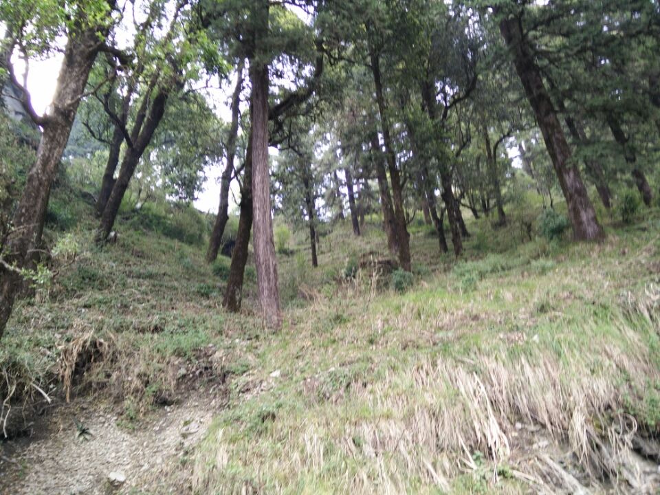 Photo of Himalaya Darshan, Bhayandar East, Mira Bhayandar, Maharashtra, India by Kapil Nathan