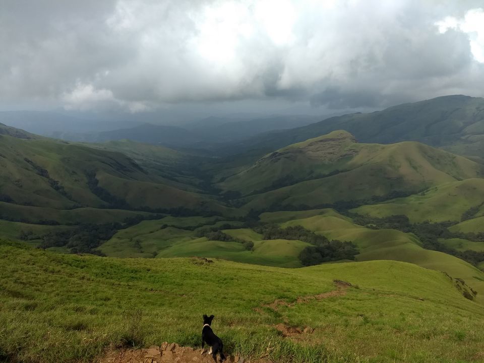 Photo of Kudremukh Top View Point, Chickmagaluru, Karnataka, India by ashray thippanna