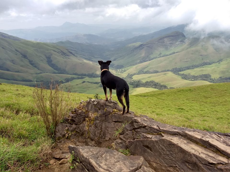 Photo of Kudremukh Top View Point, Chickmagaluru, Karnataka, India by ashray thippanna