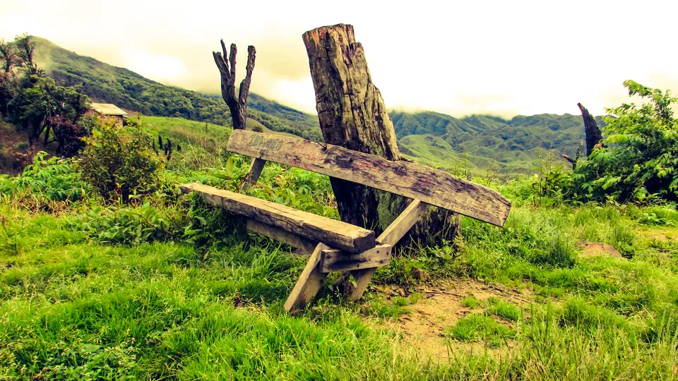 Photo of Dzükou Valley, Zunheboto, Nagaland, India by Anshuman- Travelling in my Swings!!