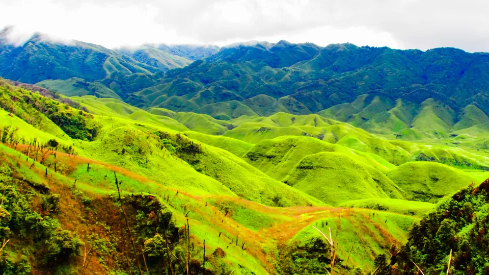 Photo of Dzükou Valley, Zunheboto, Nagaland, India by Anshuman- Travelling in my Swings!!