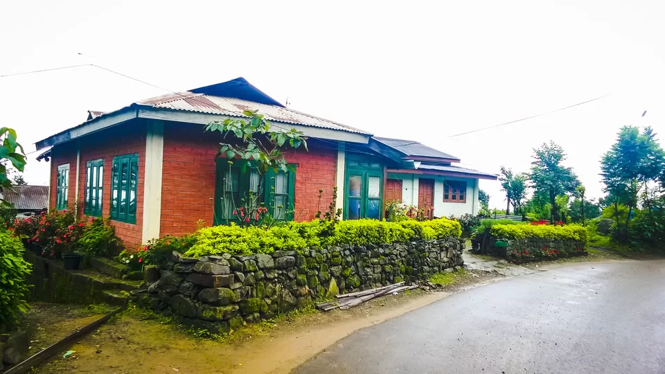 Photo of Dzükou Valley, Zunheboto, Nagaland, India by Anshuman- Travelling in my Swings!!