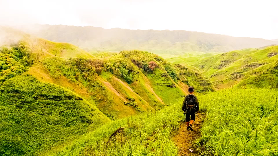 Photo of Dzükou Valley, Zunheboto, Nagaland, India by Anshuman- Travelling in my Swings!!