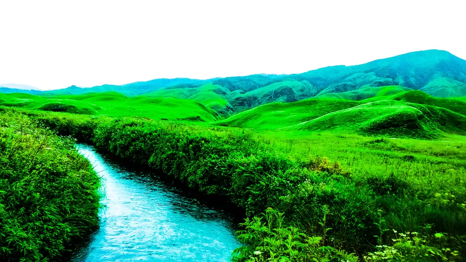 Photo of Dzükou Valley, Zunheboto, Nagaland, India by Anshuman- Travelling in my Swings!!