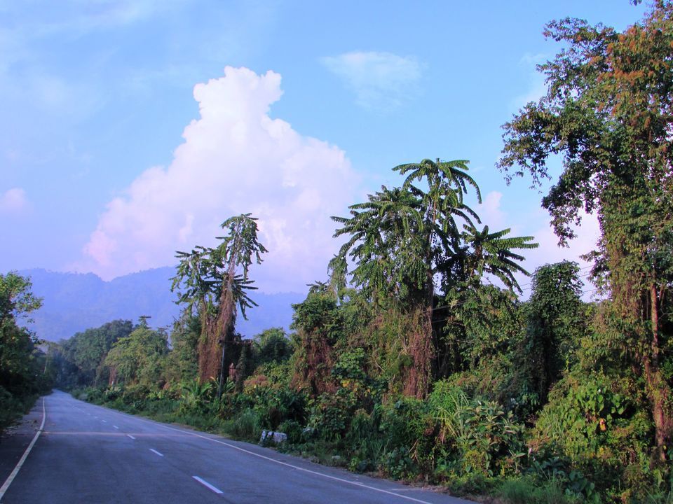 Photo of Games of nature in Mayodia, Arunachal Pradesh 3/15 by Anshuman- Travelling in my Swings!!