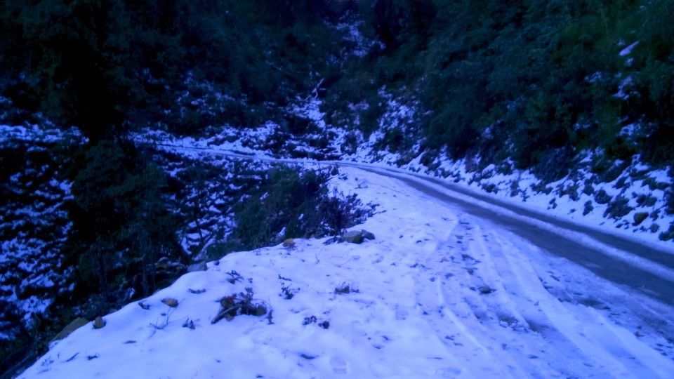 Photo of Games of nature in Mayodia, Arunachal Pradesh 10/15 by Anshuman- Travelling in my Swings!!