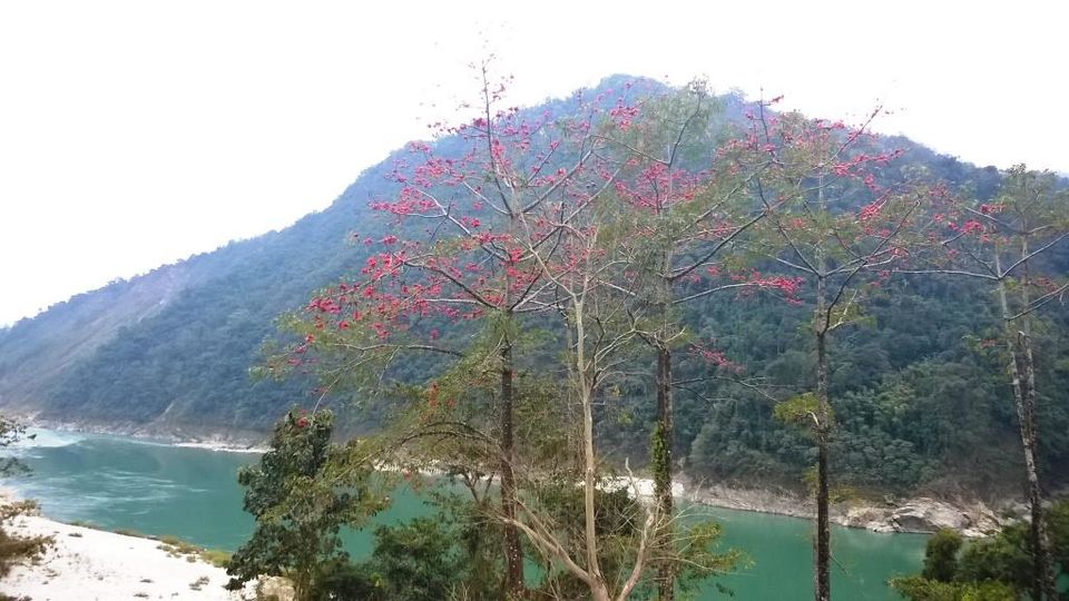 Photo of The Scenic Entrance of Arunachal Pradesh – Pasighat 10/12 by Anshuman- Travelling in my Swings!!