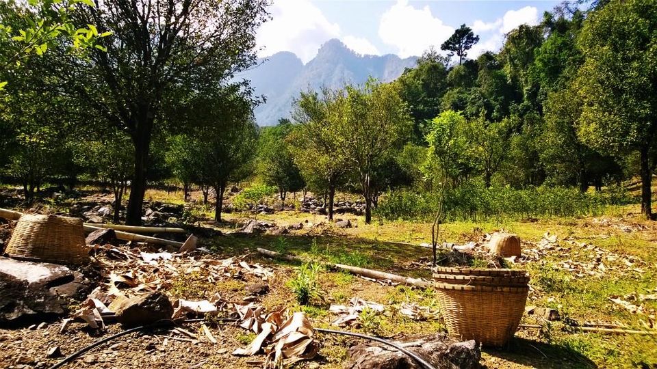 Photo of The Scenic Entrance of Arunachal Pradesh – Pasighat 12/12 by Anshuman- Travelling in my Swings!!