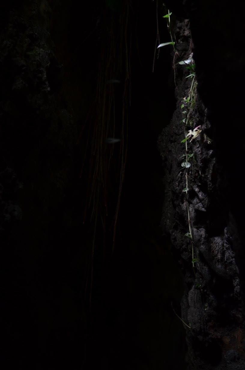 Photo of A Glimpse Of Heaven – Meghalaya 7/12 by Shefali Mehrotra