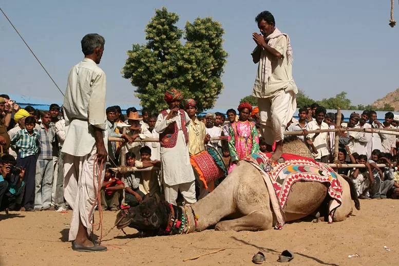 Photo of Rajasthan, India by Archana Luthra