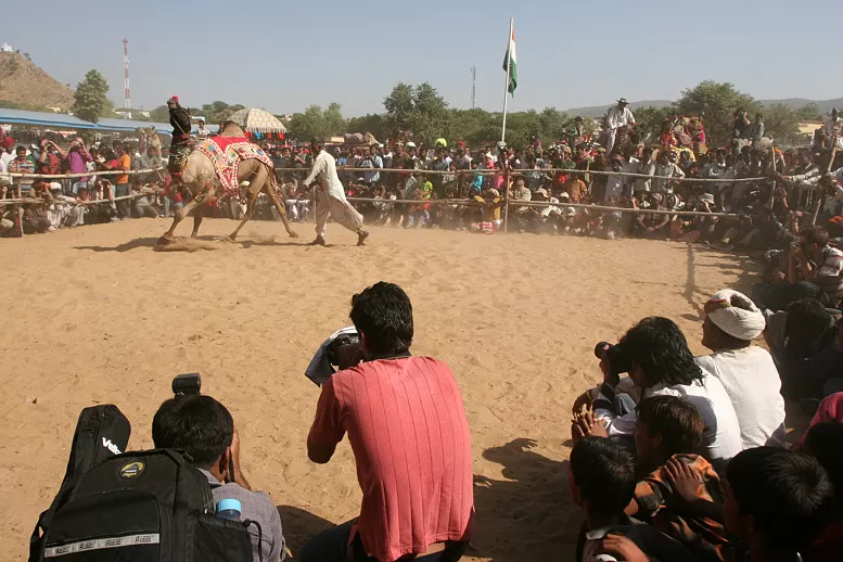 Photo of Rajasthan, India by Archana Luthra