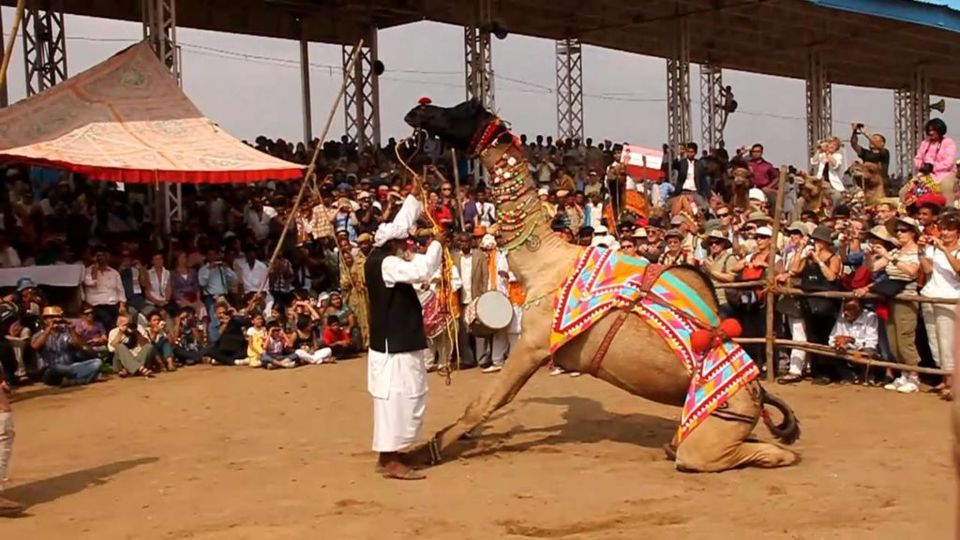 Photo of Rajasthan, India by Archana Luthra
