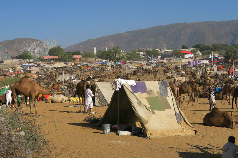 Photo of Rajasthan, India by Archana Luthra