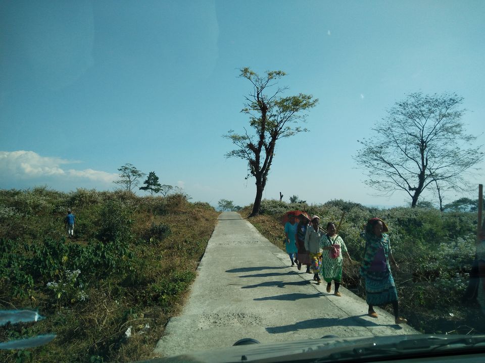 Photo of Mouchuki Forest Bungalow, Samsing Khasmahal, West Bengal, India by Anirban Sharma