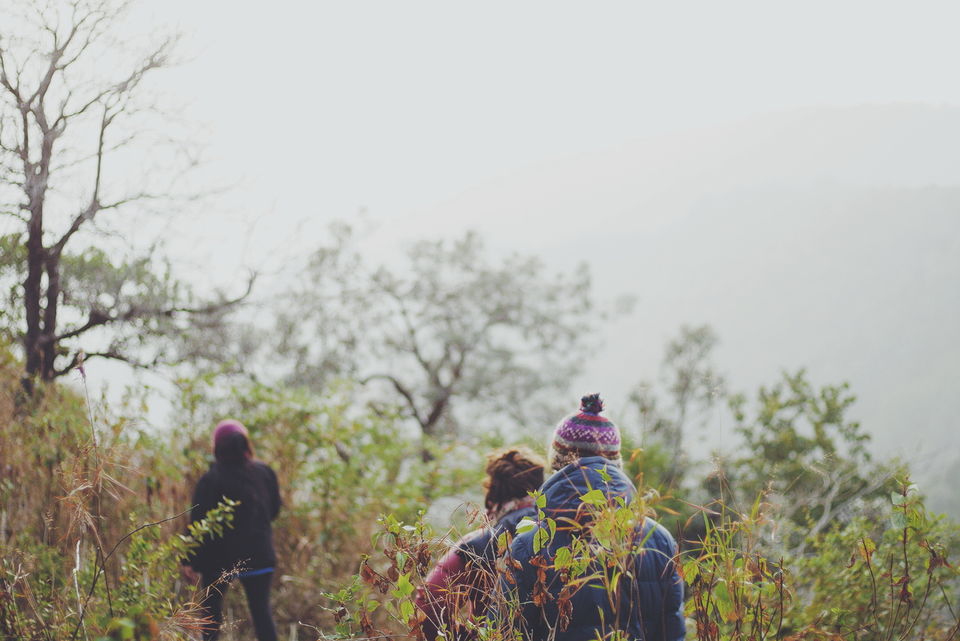 Photo of Sunset Point - Jeolikote Forest 1/1 by budwhyy