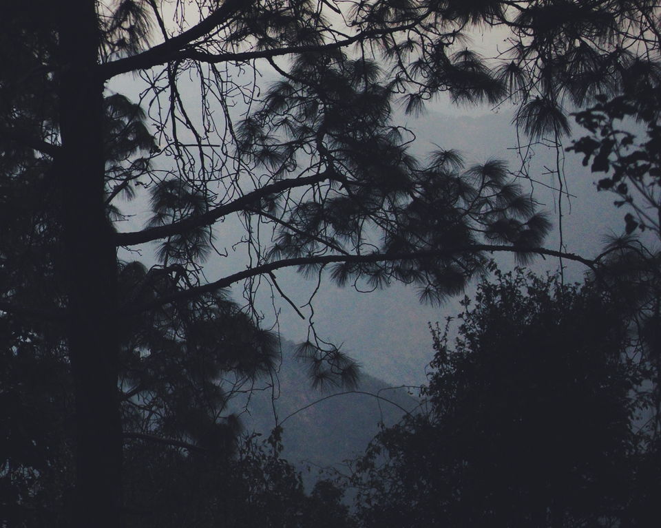 Photo of Sunset Point - Jeolikote Forest by budwhyy