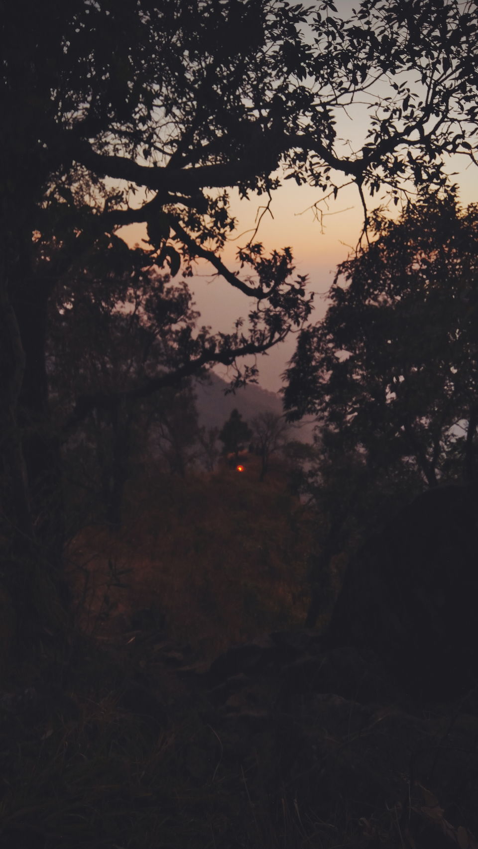 Photo of Sunset Point - Jeolikote Forest by budwhyy