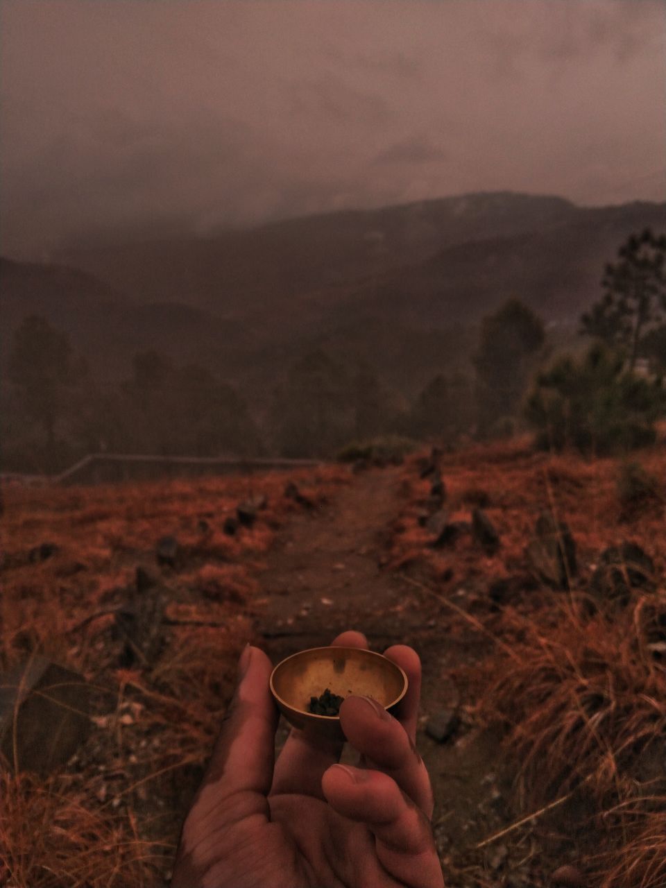 Photo of HOTs Kasar Devi, Almora, Uttarakhand, India by budwhyy